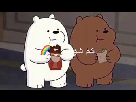 حالات واتس اب الدببة الثلاثة