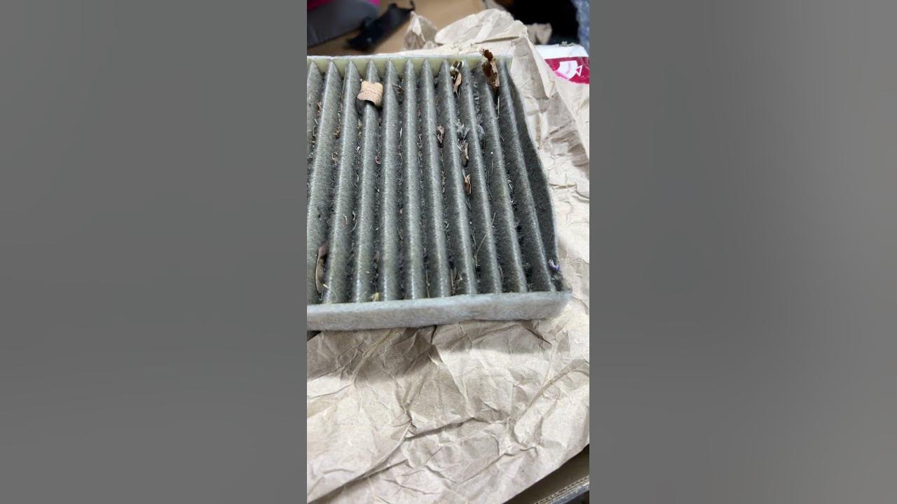 Dirty Cabin Air Filter Hall Of Shame 
