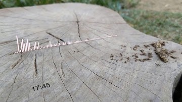 After Effects : How to make 3D audio visualizer in Tamil