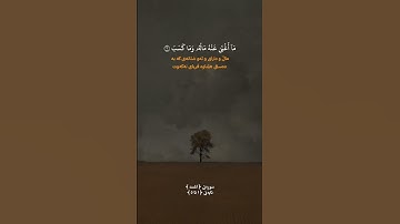 #سورة_المسد #قاريء #عامر_الكاظمي #اكسبلور #المصحف ❤️