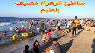 مصيف بلطيم شاطئ الزهراء شهر 7  صيف 2022