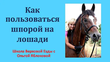 КАК ПОЛЬЗОВАТЬСЯ ШПОРОЙ НА ЛОШАДИ