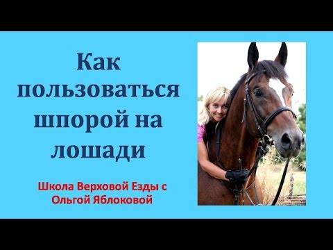 Видео: Средства за обучение на коне - Шпори