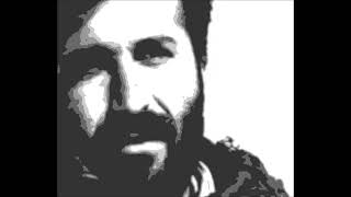 Hozan Serhat Mizgina Leheng Resimi