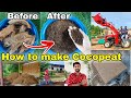 How to make cocopeat at home & Factory, Top 4 tips/trick to cocopeat