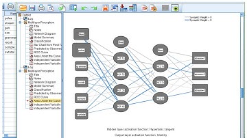 Introducing Artificial Neural Networks in SPSS | Analysis and Interpretation