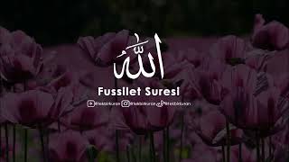 Kuran Dinle - Fussilet Suresi Türkçe Kuran Meali - Hadisler - Dini Videolar -