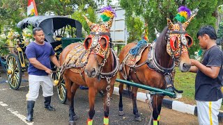 PERSIAPAN KERETA SOLO DI ACARA KIRAB BUDAYA KAB BATANG ❗️KUDA DELMAN, NAIK DELMAN, KUDA, NAIK KUDA