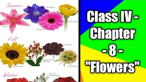 Class IV - EVS.- Chapter - 8 "Flowers"- explanation of ch.8 (Easy way to learn)