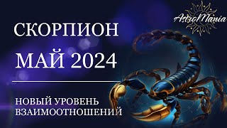 СКОРПИОН - МАЙ 2024, СТЕЛЛИУМ