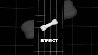 Гайды и советы по ссылке в профиле #внешность #переписка #качалка #личность #рост