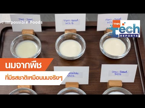 วีดีโอ: นมซีเมนต์: มันคืออะไร, วิธีทำนม, การบริโภคส่วนผสมต่อดินเหนียวขยายตัว 1 M3, สัดส่วนของปูน, เทคโนโลยีการเทวัสดุก่อสร้าง