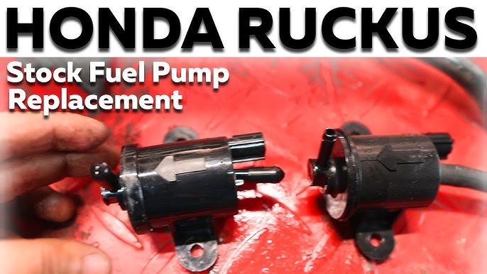 Electric GY6 Fuel Pump? #GY6 #HondaRuckus #SmallEngineVelocity 