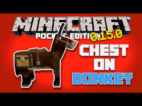 How to put chest on Donkey and Mule|Minecraft pe Tips and trick - YouTube