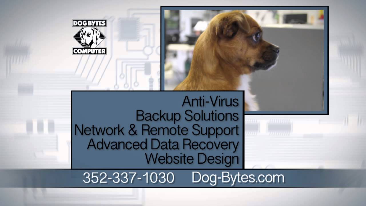 Dog Bytes Computers - Broken 2014 - YouTube