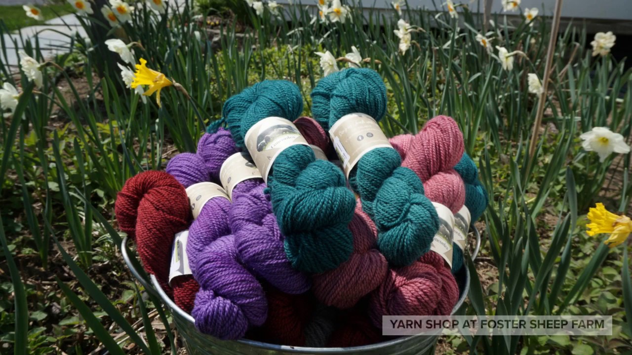 to The Yarn Shop at Foster Sheep Farm YouTube