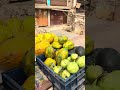 Banaras blog day 2#vbloger #minivlog #vlog #ytshorts #travel #dallyblog #shortvideo