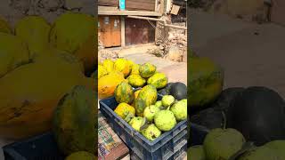 Banaras blog day 2#vbloger #minivlog #vlog #ytshorts #travel #dallyblog #shortvideo