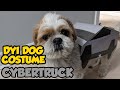 DIY Tesla Cybertruck Dog Costume