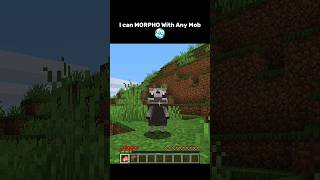 Minecraft but I can MORPHO 💀