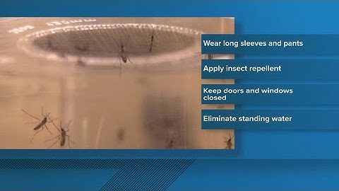 West Nile Virus: What you can do to protect yourself