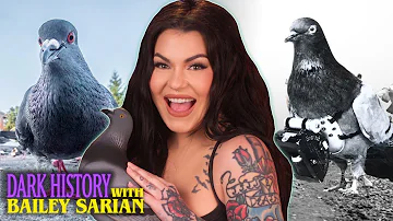 Unlikely war heroes? Respect the Pigeon! | Dark History