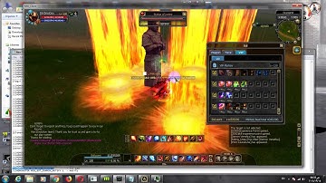 silkroad evo-sro ViP skills