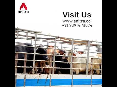 Say goodbye to the hassle of transporting your livestock | Anitra #