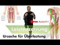 Leisten- & Adduktorenzerrungen | 1 Der Hauptursachen