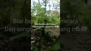 Download Mp3 Hanya satu persinggahan - IKLIM | Cover + Lirik ( INDAH YASTAMI )    #videoshort #youtubeshorts Gudang lagu Download Mp3 Hanya satu persinggahan - IKLIM | Cover + Lirik ( INDAH YASTAMI )    #videoshort #youtubeshorts