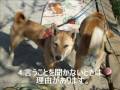 約束