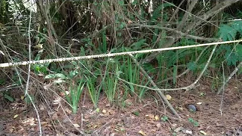 Dr. Ronald Schwartz homicide investigation