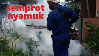 Semprot Nyamuk Nakal || Fogging Pencegahan DBD di Utan Kayu Selatan