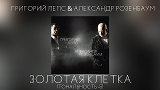Григорий Лепс & Александр Розенбаум - Золотая клетка | Тональность -5