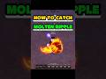 How to catch molten ripple? #fisch #roblox #johngaming
