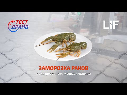Быстрая заморозка живых раков