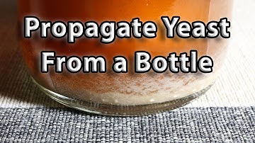 How to Propagate yeast from a beer bottle