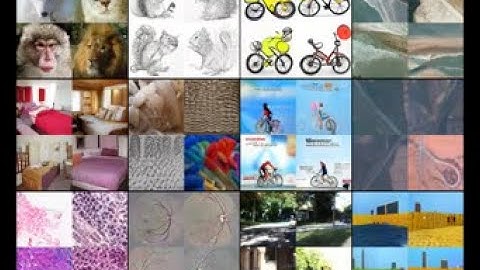 CVPR 2023 Visual Prompt Tuning for Generative Transfer Learning