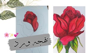 كيفية رسم وردة بالألوان الخشبية|رسم ورد جوري
