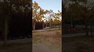 Üniversite Sonrası Sonbahar Kaçamağı 🍂 Kültürparkta Huzur