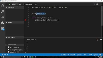 Python Beginner (While Loops)