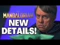Big Details We Learned From the Luke Skywalker Special! (The Mandalorian Season 2 Disney Gallery)