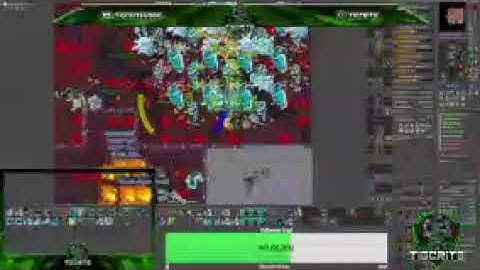 Tibia Lobera Rottens Run Sheik Toys 1520 ED Down