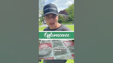 EFFLORESCENCE Removal | BEST Power Wash LI