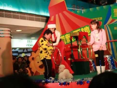 貓狗馬戲 3914 27 Dec 2009