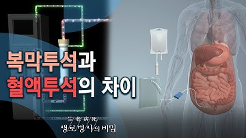 복막투석과 혈액투석의 차이 - 증상이 나타나면 늦는다, 콩팥병의 진실 (KBS_767회_20210310)