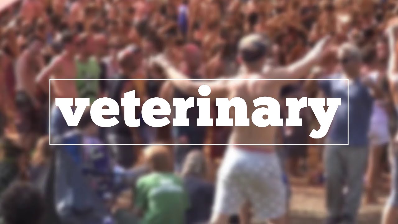How to spell veterinary YouTube