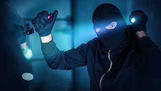 E-Commerce Technologies Module 13   Computer Crime