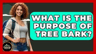 What Is The Purpose Of Tree Bark - Exploring Campgrounds