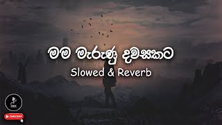 🎶 මම මැරුණු දවසකට Mama Marunu Dawasakata | Slowed & Reverb | TSMusic